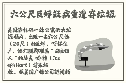 果冻传媒91cm白晶晶手表